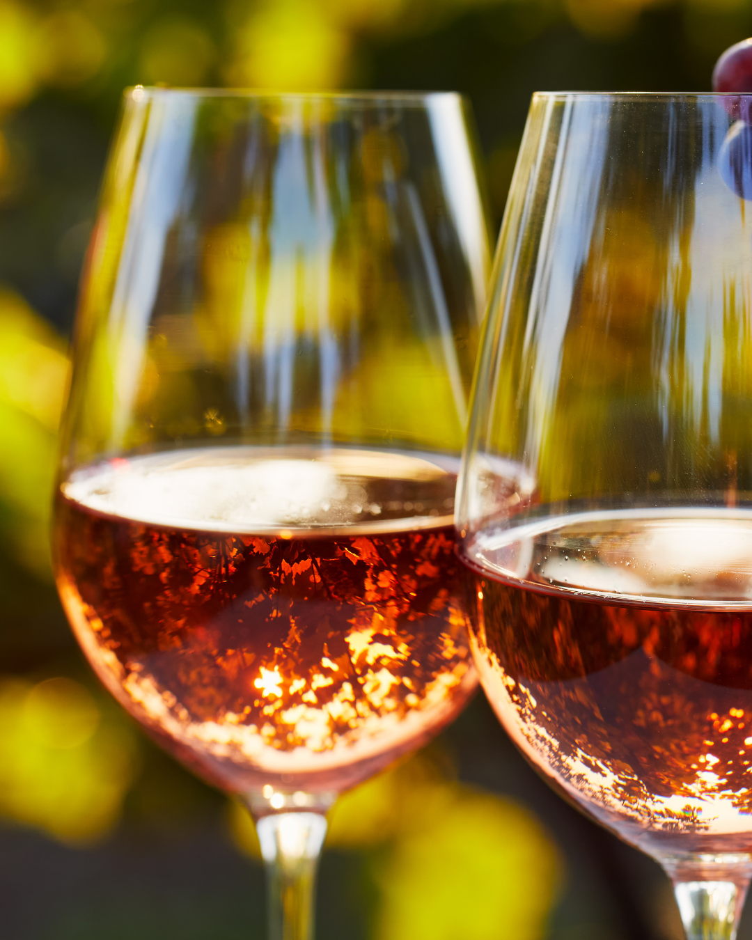 Hoe rosé van zomerdrankje naar vaste waarde ging