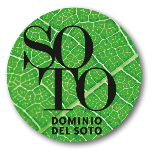 Dominio del Soto